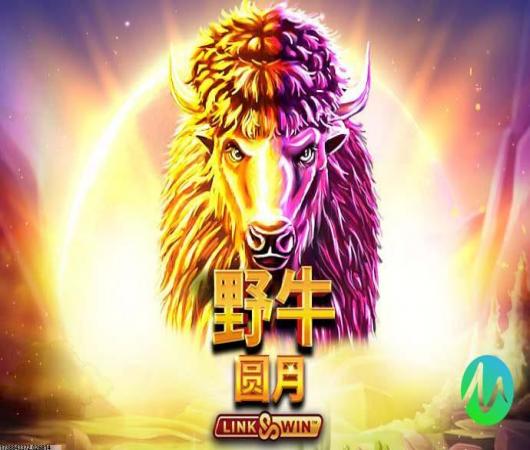 传奇冠军足球